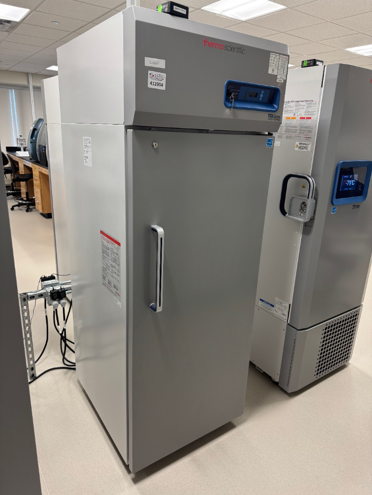 Image of Thermo TSX -20C Lab Freezer